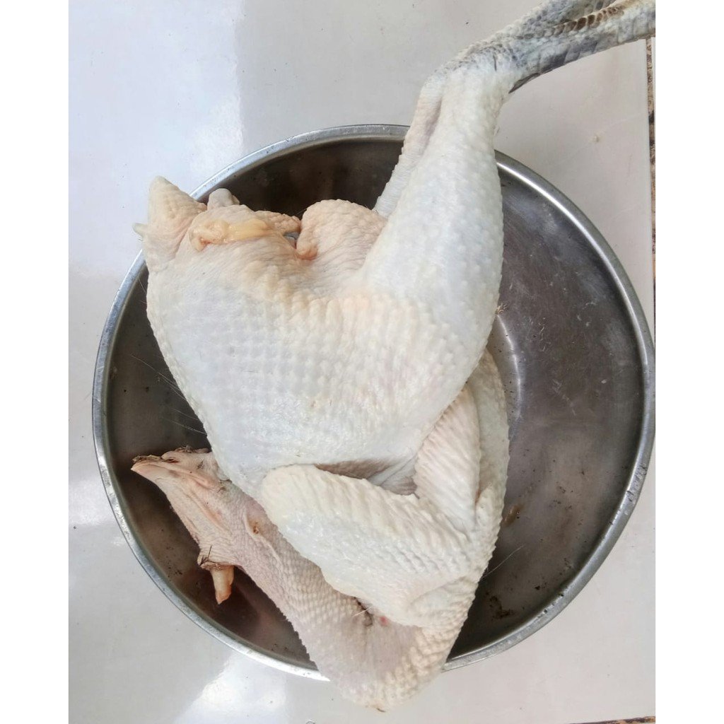 Ayam Kampung Herbal Utuh
